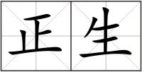 正生