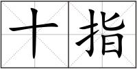 十指