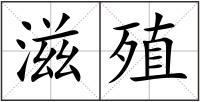 滋殖