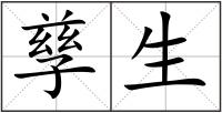 孳生