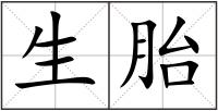 生胎