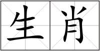 生肖