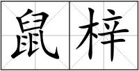 鼠梓