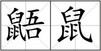 鼯鼠