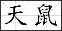 天鼠