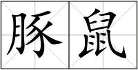 豚鼠