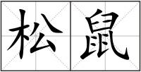 松鼠