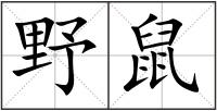 野鼠