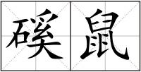 磎鼠