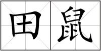 田鼠