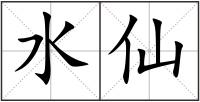 水仙