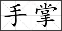 手掌