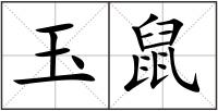 玉鼠