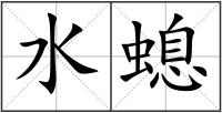 水螅