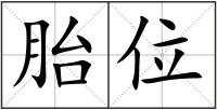 胎位