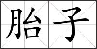 胎子