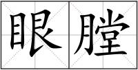 眼膛