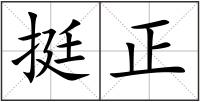 挺正