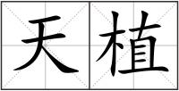 天植