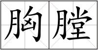 胸膛