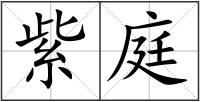 紫庭