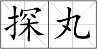 探丸