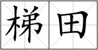 梯田
