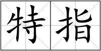 特指