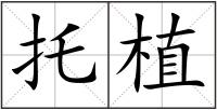 托植