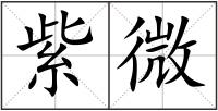 紫微