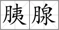 胰腺