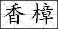 香樟