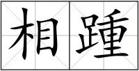 相踵