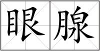眼腺