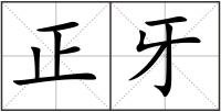 正牙