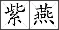 紫燕