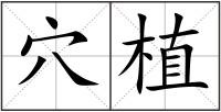 穴植