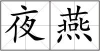 夜燕