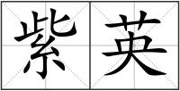 紫英