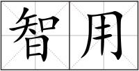 智用