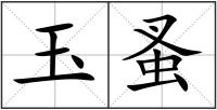 玉蚤