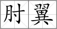 肘翼