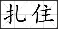 扎住