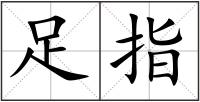 足指