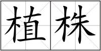 植株