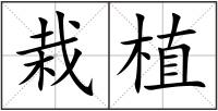 栽植